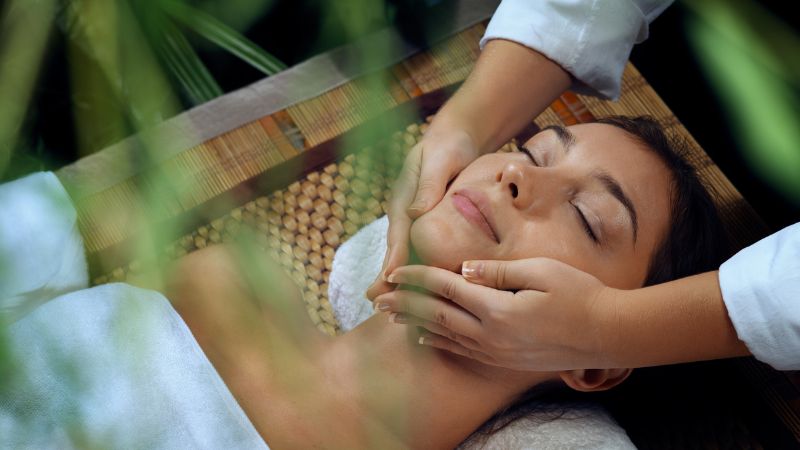 Ajurweda dla zdrowia -Monika Ptak Korbacz